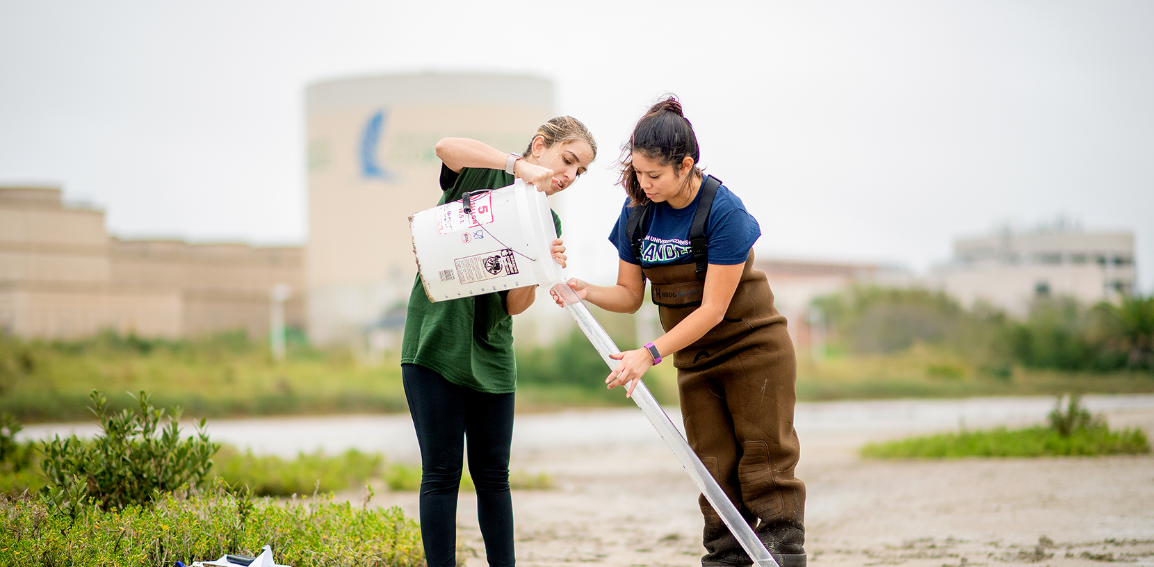 Water quality sampling